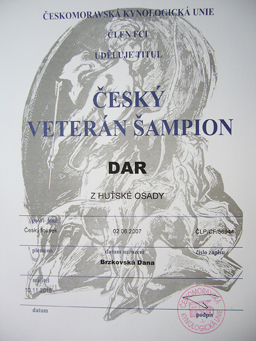 český fousek