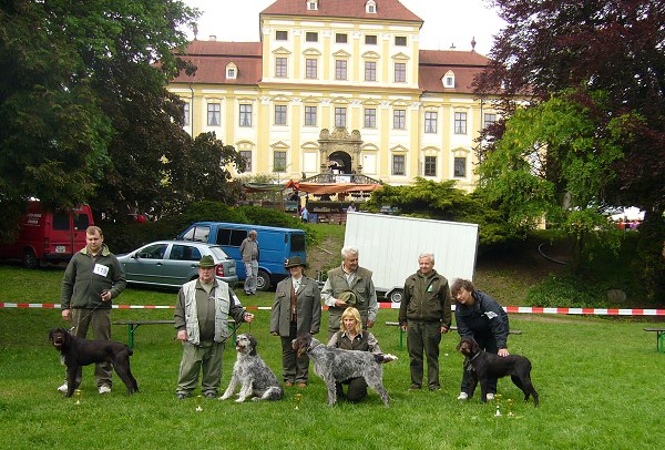 Český fousek - Eldorádo z Těšínovských buků