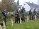 esk fousek Eldordo z Tnovskch buk na podzimnch zkoukch