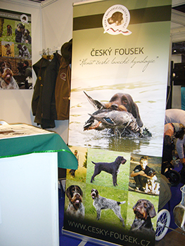 český fousek