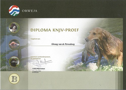 Český fousek - Girang v.d. Perwaborg
