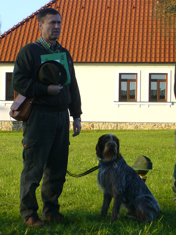 český fousek